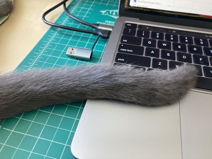 Earlier today I've found CatGPTail was covertly attempting to interface with the ke...