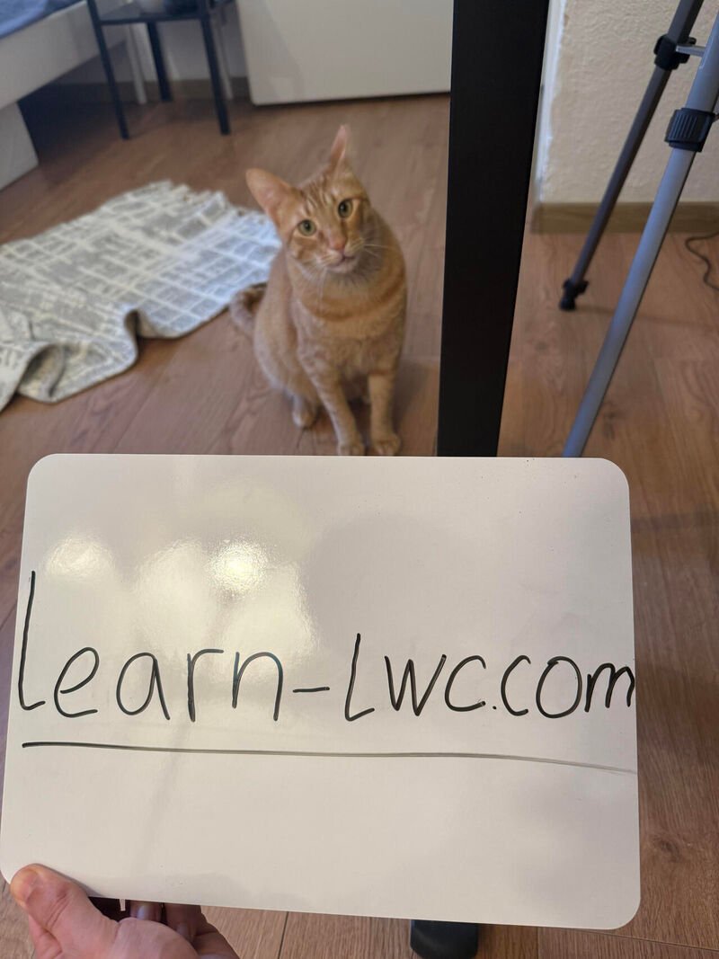 Have you checked out Moshpit's comprehensive course on Lightning Web Components yet?