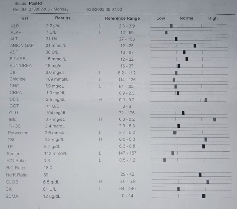 What powers your vet clinicโs software? ๐ถ ๐ฑ ๐ฐ ๐น ๐ญ ๐ฆ ๐ ๐